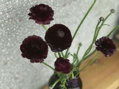 -北马山庄植趣咖啡