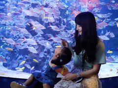 -成都浩海立方海洋公园