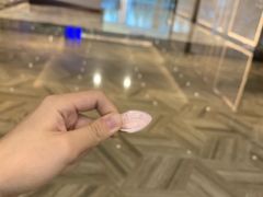 -影汇之星8字形摩天轮