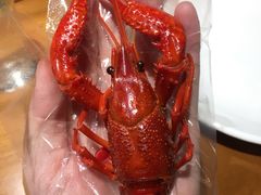 -0574龙虾的故事(东裕店)