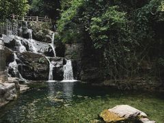-鼎湖山风景区