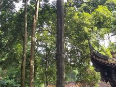 -都江堰普照寺