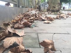 -菲滋意式餐厅(银泰百货金华江南店)