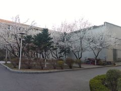 -辽宁大学(崇山校区)