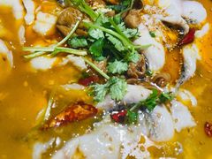 肥肠鱼-龙梅肥肠鱼(明瓦廊店)