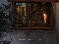 -春庄咖啡SpringHues(钟楼小区店)