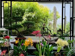 -杭州植物园