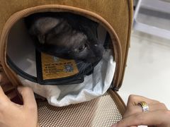 -御宝贝24h宠物医院·转诊中心·CT核磁血透中心(厦门总院)