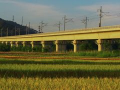 -光明小镇欢乐田园