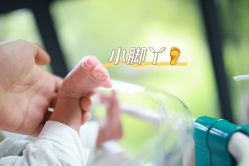 -金芙美月子中心(财富别墅店)