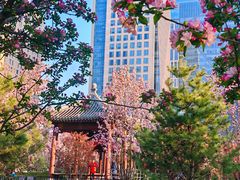 -元大都城垣遗址公园