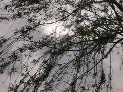 -阳澄湖半岛旅游度假区