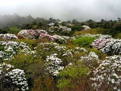 -终南山国家森林公园