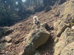 -北仑森林植物园