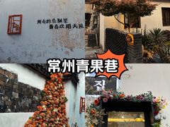 -青果巷历史文化街区