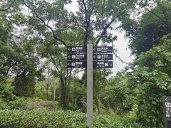 -广州市白云山风景名胜区