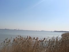 -吴淞炮台湾湿地森林公园烧烤区