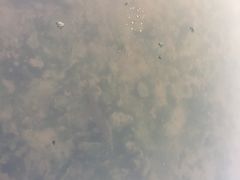 -重庆彩云湖湿地公园