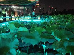 -南通濠河风景名胜区