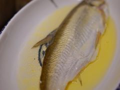 鸡汁长江白鱼-南京大牌档(济南万象城店)