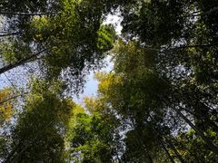 -树山生态村