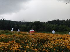 -武陵山森林公园