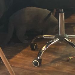 -飛凡TATTOO纹身•原创