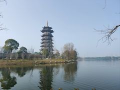 -洋湖国家湿地公园