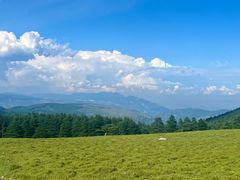 -芦芽山旅游度假区