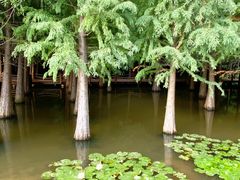 -捞渔河湿地公园
