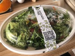 -油梨树 AVOCADO TREE(亮马桥店)