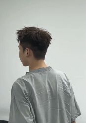 -YESIDO椰岛造型