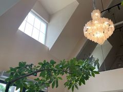 -花神·轻食简餐·咖啡馆·花卉绿植(荷兰花卉小镇店)