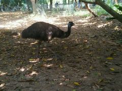 -广东茂名森林公园