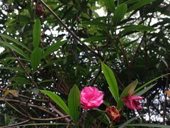 -齐岸健身(花园城店)