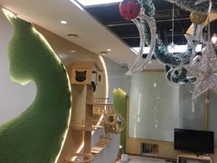 -猫和宫(六道口店)