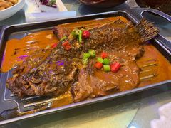 -佳兰雅序融合菜(高新店)