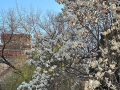 -山东师范大学(千佛山校区)