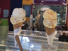 -Dooley's Premium Ice Cream