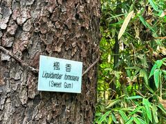 -香港大学