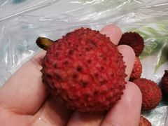 -百果园PAGODA(应元路店)