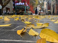 -大头虾越式风味餐厅(光明广场店)