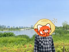 -上海市第四人民医院