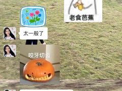 -日葵 大阪烧ひまり(仙霞路店)