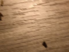 -星伦多自助料理(花山金鹰店)