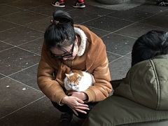 -龙华素斋(龙华路店)