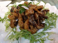 -长春观斋补堂素菜馆