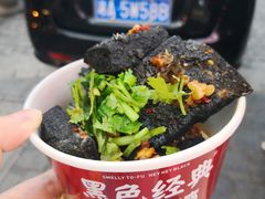 黑色经典臭豆腐-黑色经典臭豆腐·湖南特产(坡子街店)