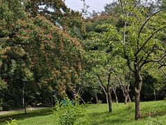 -大连植物园