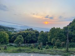 -金水泊山庄·花椒鸡(铁山坪店)